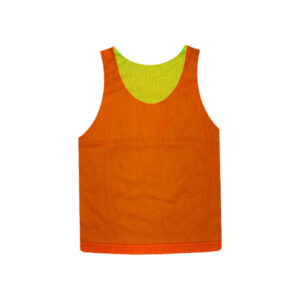 Reversible Pinnies